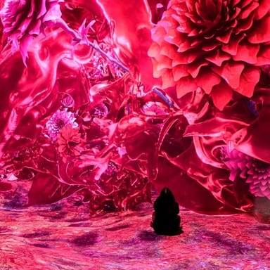 ARTECHOUSE Immersive Experience and Mr. Capri Dinner for Two