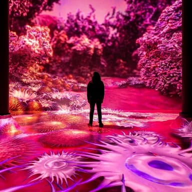 ARTECHOUSE Immersive Experience and Mr. Capri Dinner for Two