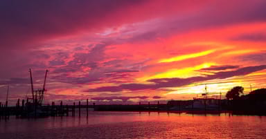 Sunset Wildlife Cruise