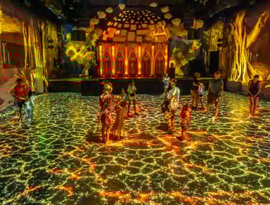 Blanchard Family Wines Tasting and Meow Wolf Denver's Convergence Station VIP Admission for Two