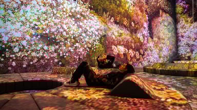 VIP Admission at Mercer Labs Museum of Art and Technology