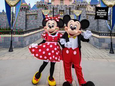 2-Day DISNEYLAND® Resort 1-Park Per Day Ticket