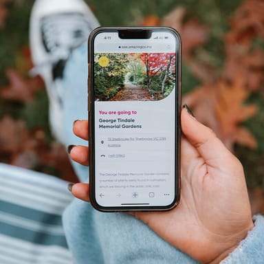 Evanston Mystery Picnic for Two