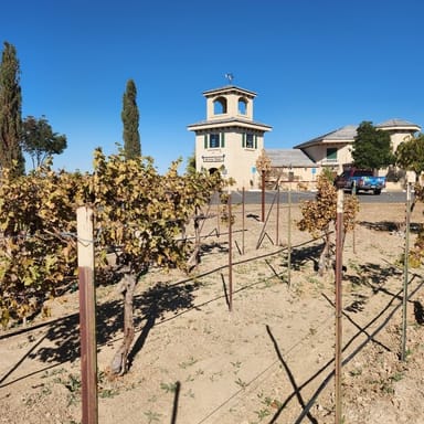 Hot Air Balloon Ride