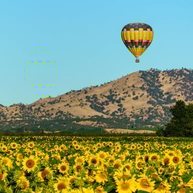 Yolo County Shared Hot Air Balloon Ride with Champagne