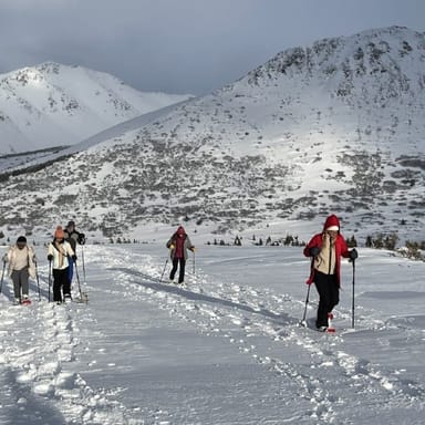 Beginner’s Snowshoeing Adventure
