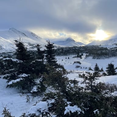 Beginner’s Snowshoeing Adventure