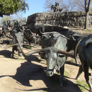 Best of Dallas Landmarks and Sightseeing Tour