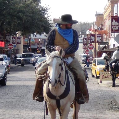 4-Hour Best of Fort Worth Guided Tour
