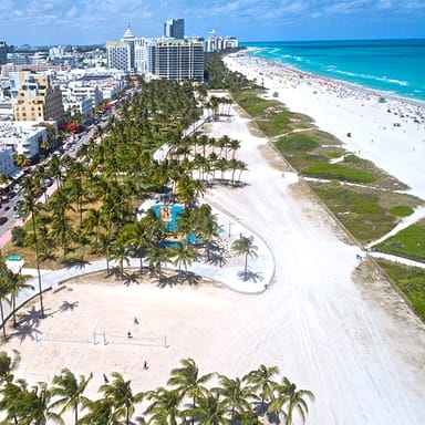 The Best of Miami Open Top Bus Tour