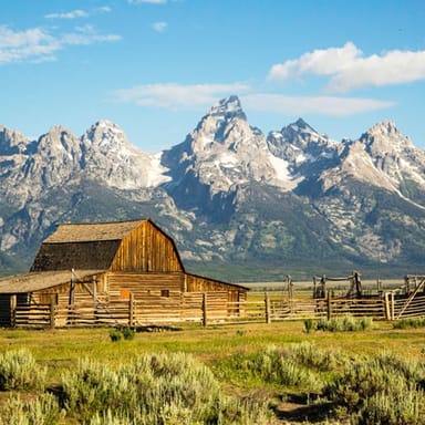 Beyond Yellowstone Private Tour