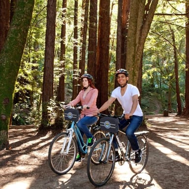 Full-Day City Bike Rental