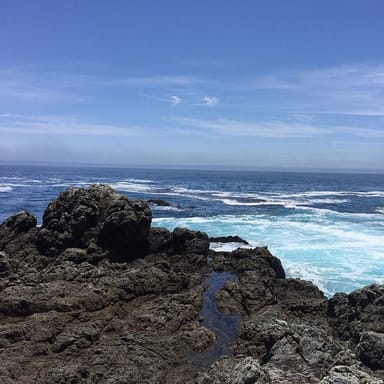 Private Big Sur Hiking Excursion