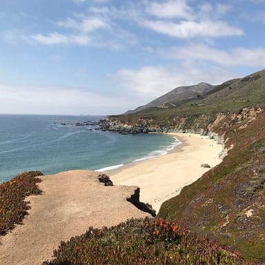 Half-Day Carmel and Pebble Beach Driving Tour