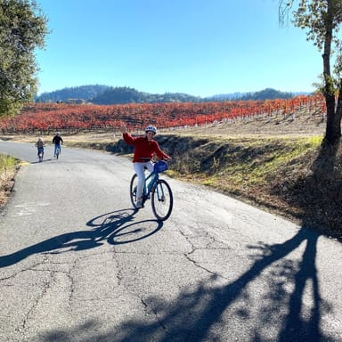 Russian River Kayak, Bike & Wine Tour for 2