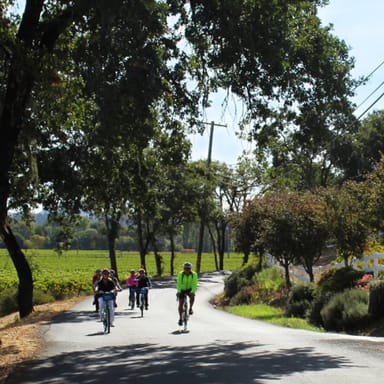 Russian River Kayak, Bike & Wine Tour for 2