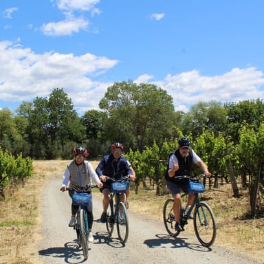 Healdsburg Bike & Wine Tour for 2