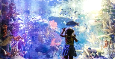 Go City | San Diego Essentials Pass - 3 Attractions