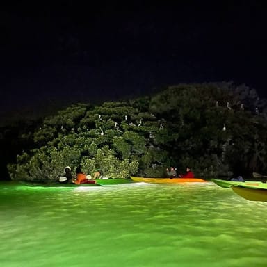 Illuminated Nighttime Glass Bottom Kayak Tour