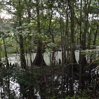 Hiking Adventure in the Black Bear Wilderness Area