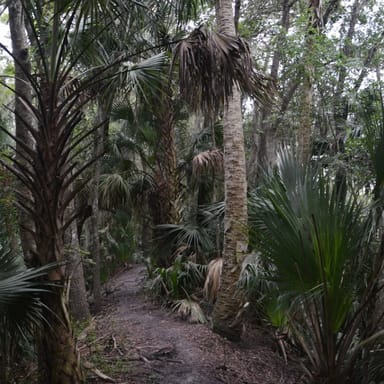 Hiking Adventure in the Black Bear Wilderness Area