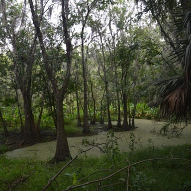 Hiking Adventure in the Black Bear Wilderness Area