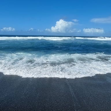 Ultimate Black Sand Beach and Rainforest Adventure
