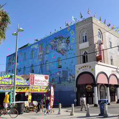 Private Venice Beach Sunset Tour 