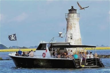 Sightseeing Dolphin Tour