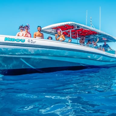 Kona Snorkel and Dolphin Watching Cruise