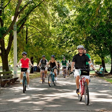 Lakefront Bike Tour