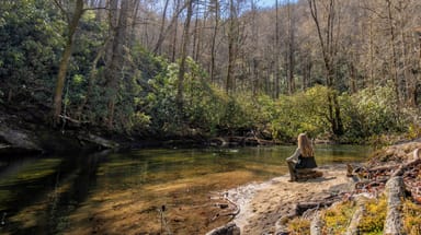 Private Forest Bathing Session