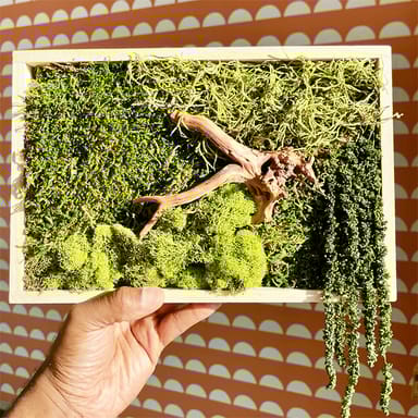 Botanical Art Class for Two with Mocktails