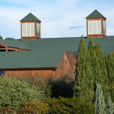 Muir Woods & Wine Country Tour