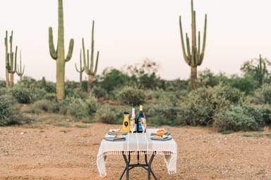 Morning Hot Air Balloon Ride with Breakfast and Champagne