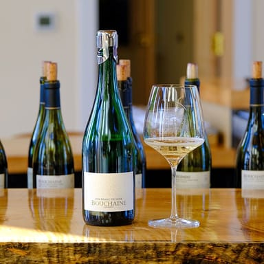 Muir Woods & Wine Country Tour