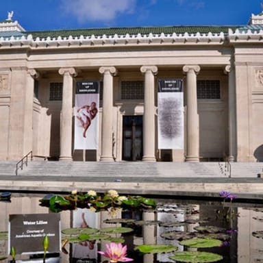 New Orleans City Park Outdoor Scavenger Hunt