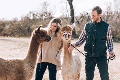 Alpaca Walk and Farm Tour in New Jersey