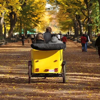 Central Park Zippy Pedicab Tour for Two