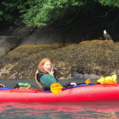 Full-Day Resurrection Bay Kayak Tour