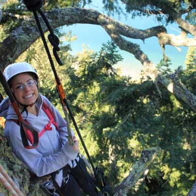 Amazing Tree Climbing Adventure on Lopez Island