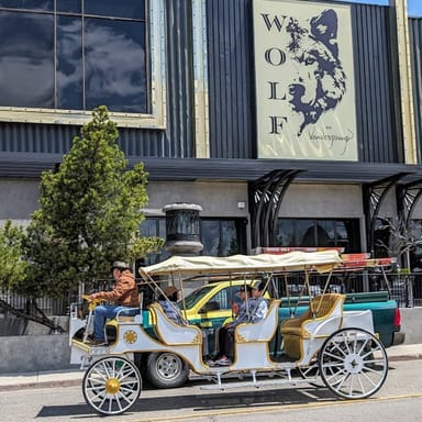 Tahoe E-Carriage Ride for Two and Mini Golf Gift Card