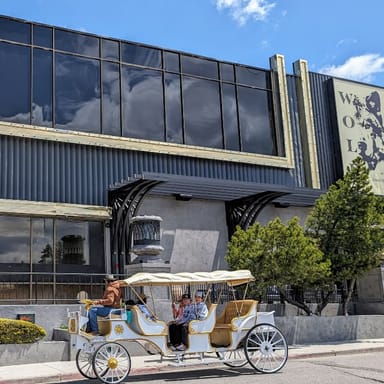 Scenic E-Carriage Ride Along South Lake Tahoe