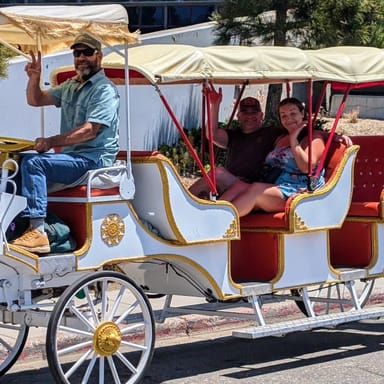 Scenic E-Carriage Ride Along South Lake Tahoe