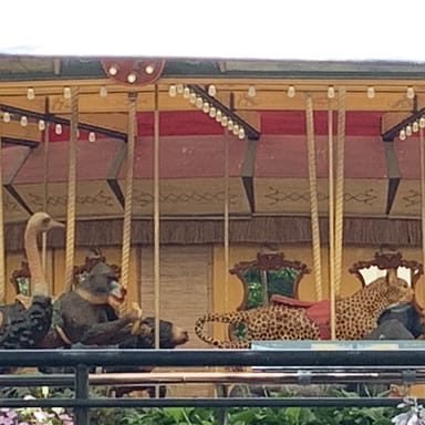 Lincoln Park Zoo Scavenger Hunt