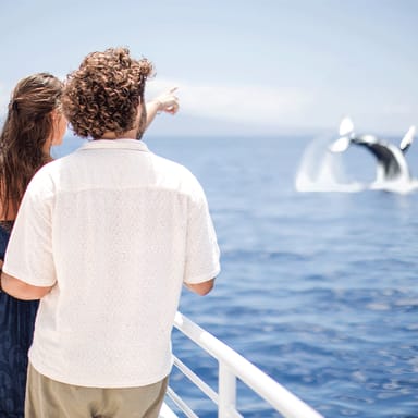 All-Inclusive Maui Whale Watch Adventure