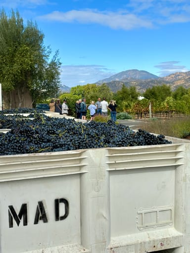 North Sonoma’s Hidden Gems: Small Group Winery Tour for Two with Lunch