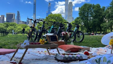 Central Park Picnic & Full Day Bike Rental