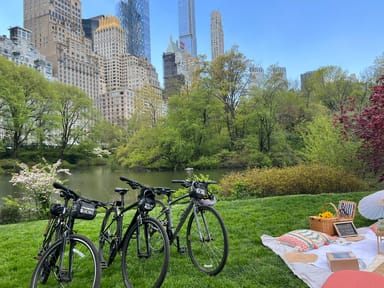 Central Park Picnic & Full Day Bike Rental