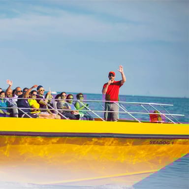 Lakefront Speedboat Tour